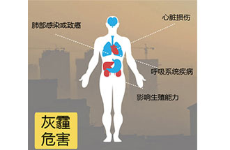 空氣中PM2.5 是由什么物質(zhì)組成的？