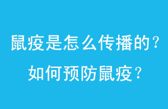 鼠疫是怎么傳播的？如何預(yù)防鼠疫？